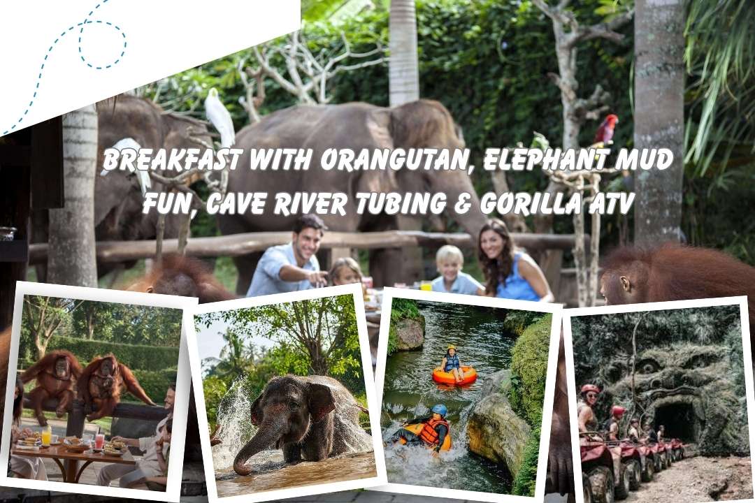 Breakfast with Orangutan, Elephant Mud Fun, Cave River Tubing & Gorilla ATV