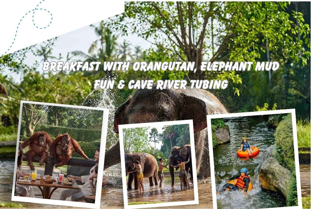 Bali Zoo Breakfast with Orangutan, Elephant Mud Fun & Cave River Tubing