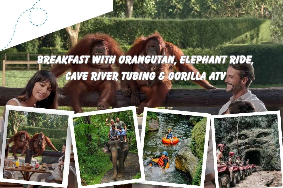 Breakfast with Orangutan, Elephant Ride, Cave River Tubing & Gorilla ATV
