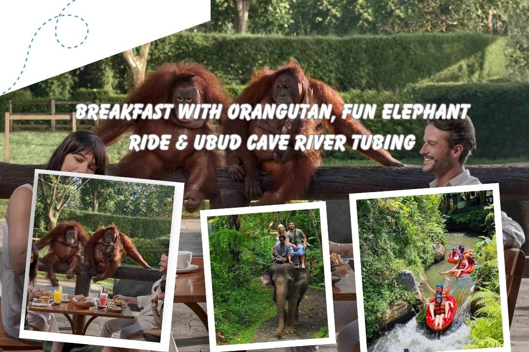 Breakfast with Orangutan, Fun Elephant Ride & Ubud Cave River Tubing